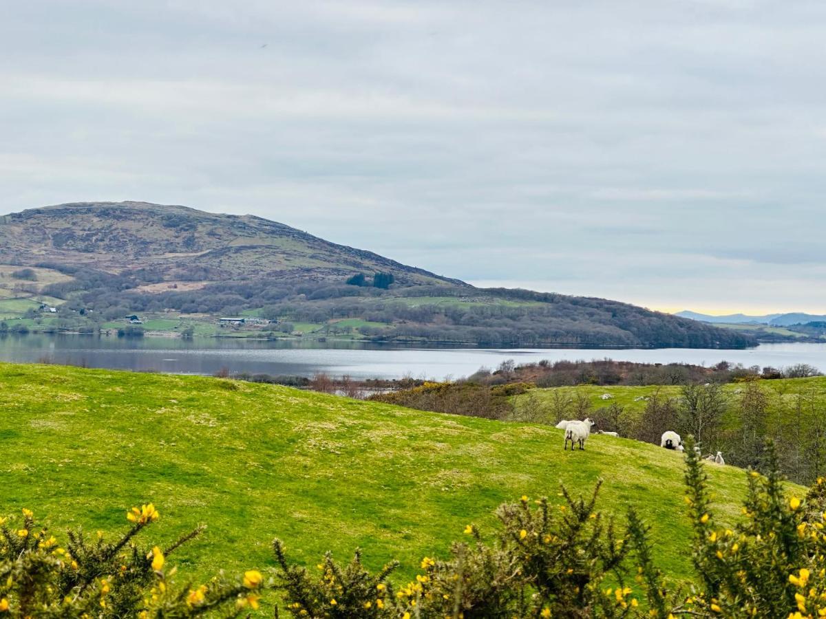 Trawsfynydd Stone Cottage Экстерьер фото